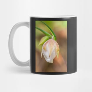 Globe Lily Mug